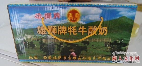 西藏拉萨当雄县致富带头人嘎玛：打造藏北高原优质酸奶
