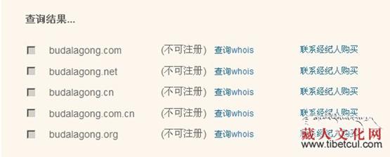 网络时代重视域名注册：名人景点等西藏相关域名被抢注