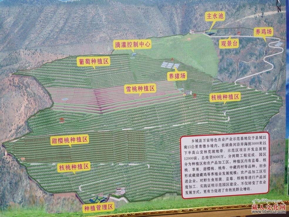 干热河谷发展现代化农业 滴灌为佛珠之地解难