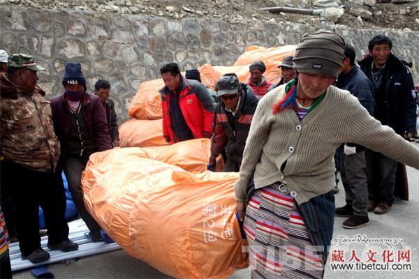 西藏地震伤亡情况捐款 201504290857112515.jpg