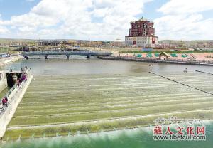青海省投入3672万元修建湟鱼洄游绿色通道