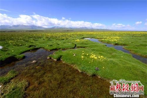 青海再添UNDP-GEF项目巩固祁连山及青海湖生态地位