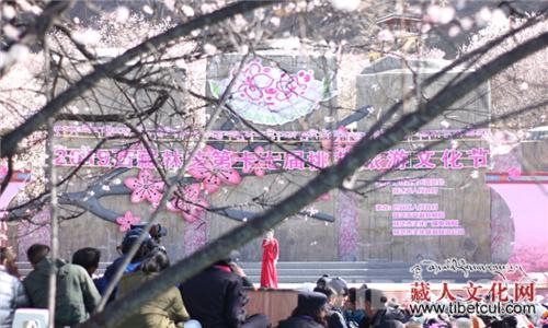 西藏林芝市第十七届桃花旅游文化节正式开幕