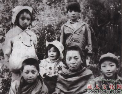 蒲巴甲：炫目外表下的一颗藏人心