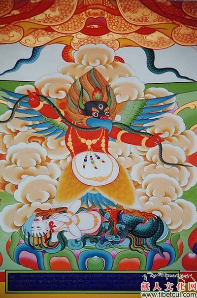 大鹏图片