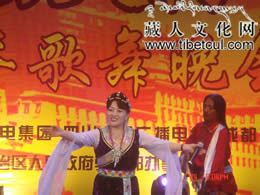 四川省成功举办2006年藏历火狗新年大型歌舞晚会