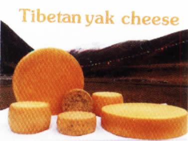 纽约举办“西藏乳酪周”