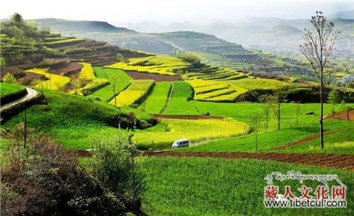 新增4个 甘肃省国家地理标志保护产品总数已达63