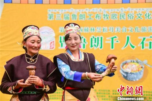 西藏林芝开启第九届松茸美食文化旅游季
