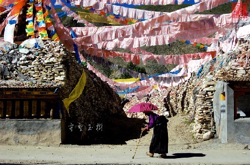 藏人网举办“有你有我，玉树不折”北京募捐活动
