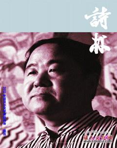《诗林》2012年第6期推出甘南少数民族诗人小辑