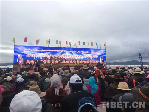 青海天峻县“藏族拉伊”比赛在青海湖源激情上演