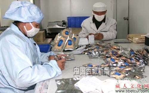 西藏自治区19种藏药收入《中国药典》