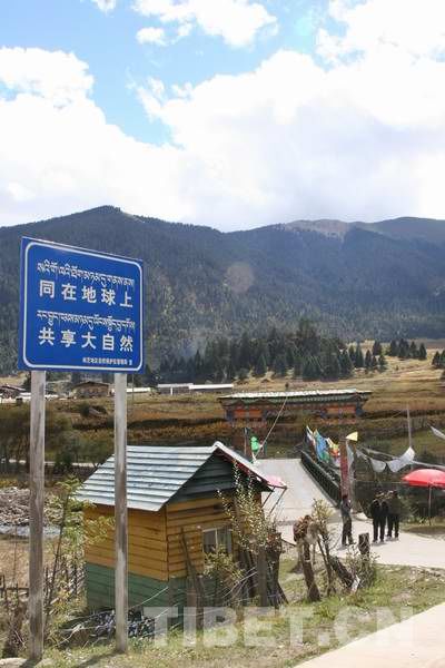 鲁朗镇已具旅游雏形，当地政府部门在鲁朗镇沿途打出的口号