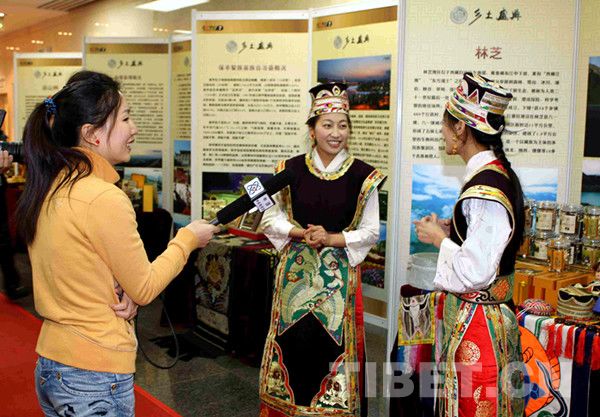 《乡土盛典》林芝展位接受采访