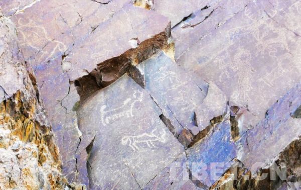 日土岩画，上画有牛、羊、狗以及人类等等，刻痕有深有浅