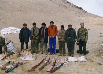 美国将藏羚羊列入濒临灭绝物种