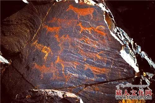 肃北岩画：定格在石头上的西北游牧民族的生活图景
