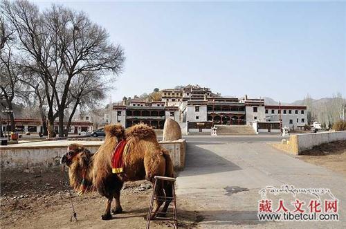 五当召唐卡：藏传佛教在内蒙古本土化的印记