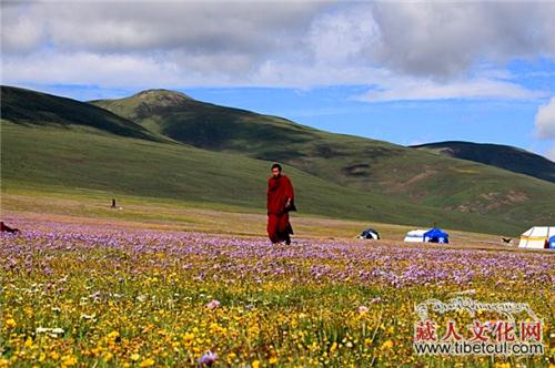 获得从大师手指甲出现的瑜伽女的成就者