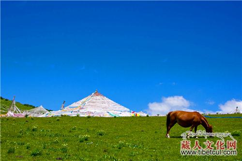 都知道玛吉拉仲，但很少人知道他也是息结派最初的传承大师