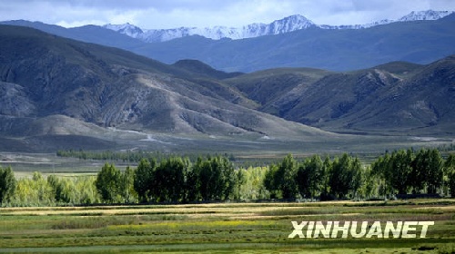 西藏获准设立尼木国家级森林公园