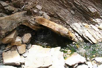 西藏发现超大矿泉水源