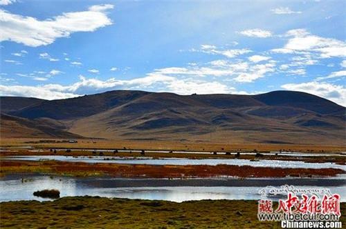 青海湖三江源近期降雨偏多 专家称高原暖湿化继续