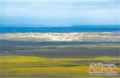 水涨草高 三江源地区见证青藏高原生态建设奇迹