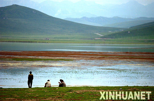 藏地甘南湿地沙化严重 “黄河之肾”10年后恐消失