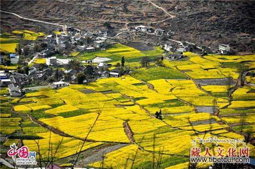 "红+绿"带动康养旅游 四川甘孜州泸定全域变景区