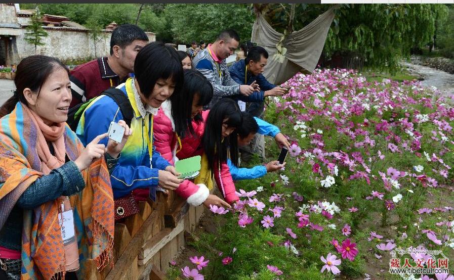 尼木县举行首届格桑花旅游文化体验活动
