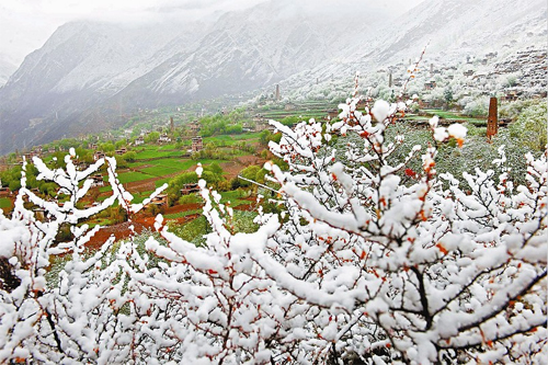 丹巴春雪兆丰年