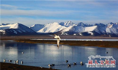 整三个月 西藏纳木措景区免费对游客开放