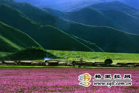 香格里拉的四季