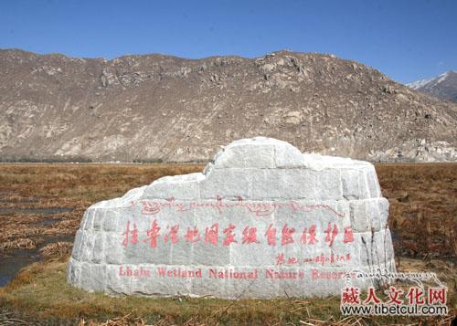 西藏启动关爱山川河流保护拉鲁湿地志愿服务活动