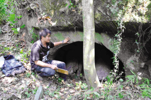 四川平武藏族乡山崖现奇特古墓