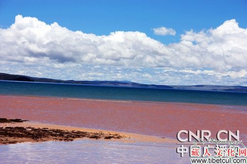 2009年三江源降水量接近历史最大值