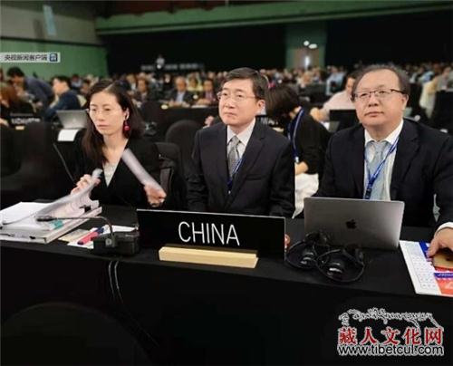 成为世界非遗，中国"藏医药浴法"申遗经历了什么？