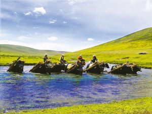 玉树，仍然活跃的牦牛驮运队