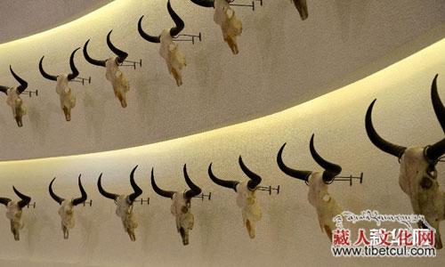 北京市援藏项目之一：西藏牦牛博物馆即将开馆