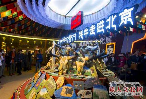 “高原牦牛文化展”受青睐　京城掀起“西藏热”