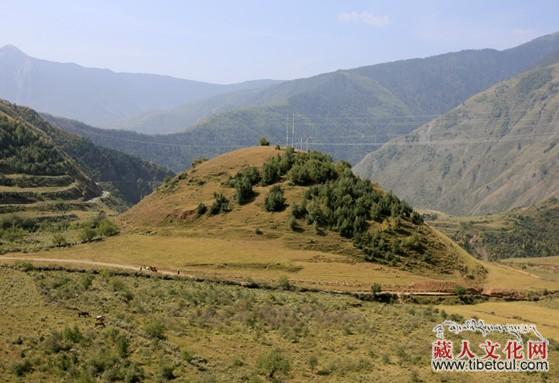 道孚发现古国王陵：填补了西南地区王陵历史空白