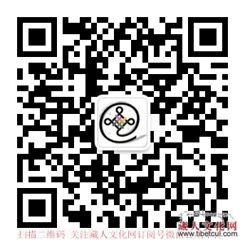 400多万年前的佩里耶上新鬣狗化石出土西藏阿里