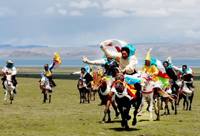 “藏北赛马”迎接2008北京奥运