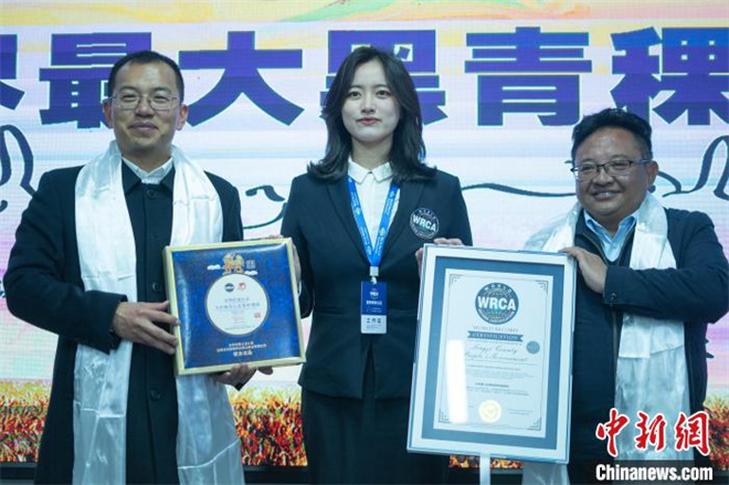 西藏隆子：被认证为世界最大黑青稞种植基地4.jpg