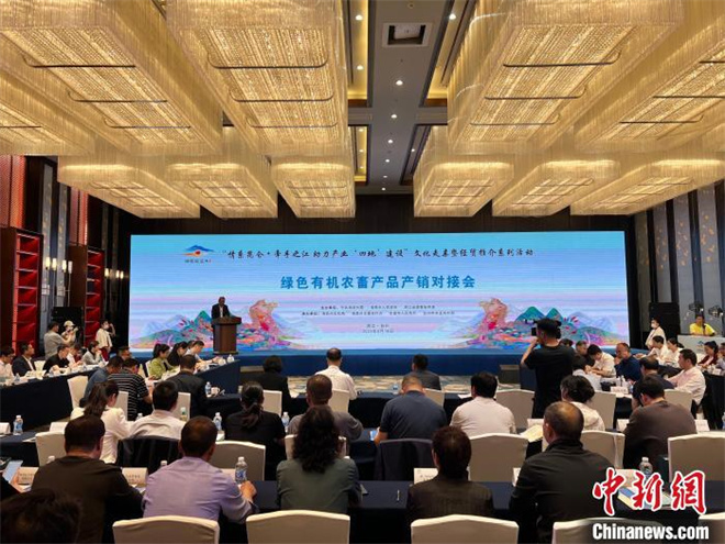 浙江海西深化合作 柴达木特色农畜产品销售步入“快车道”.jpg