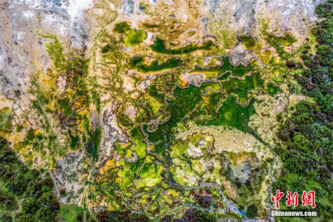 四川省甘孜州：隐藏在山谷中的最美钙化彩池4.jpg