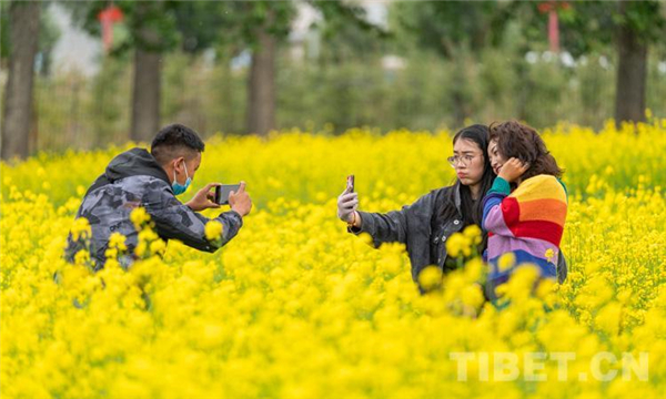 乡村振兴花为媒 第四届西藏·墨竹小油菜花文化旅游节开幕3.jpg