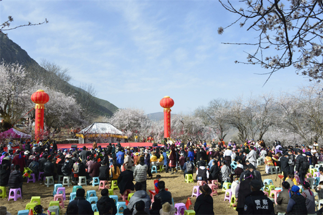 首届得荣——“桃花仙子”选美大赛举办1.jpg